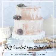 succulent faux naked cake